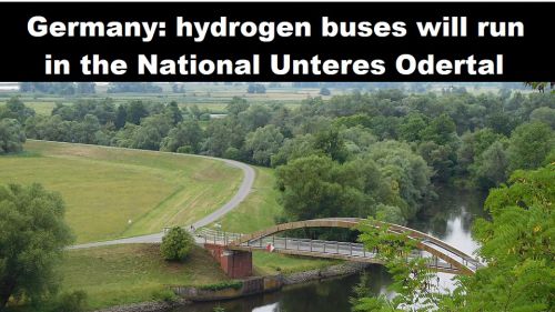 Duitsland: waterstofbussen gaan rijden in het National Unteres Odertal